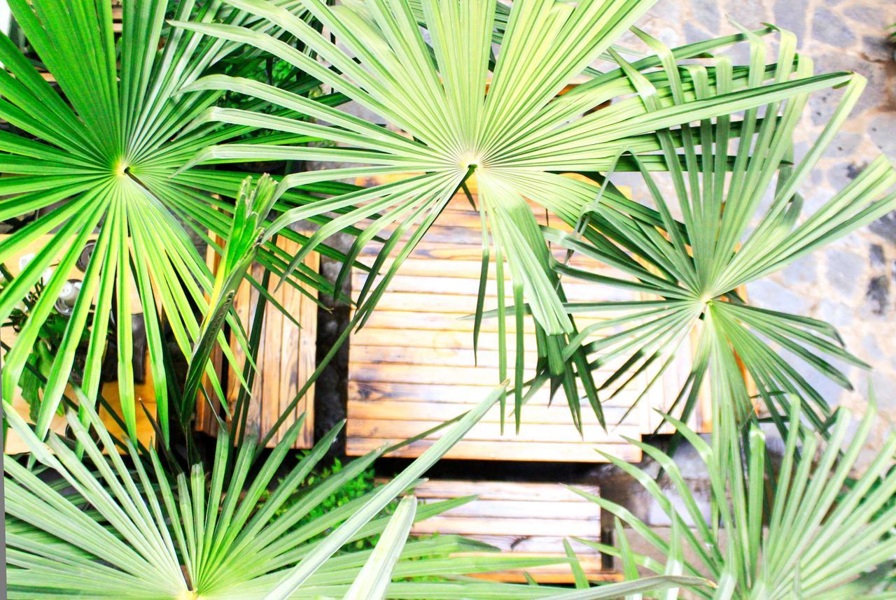 Dali Lao Shay Youth Hostel Exterior foto